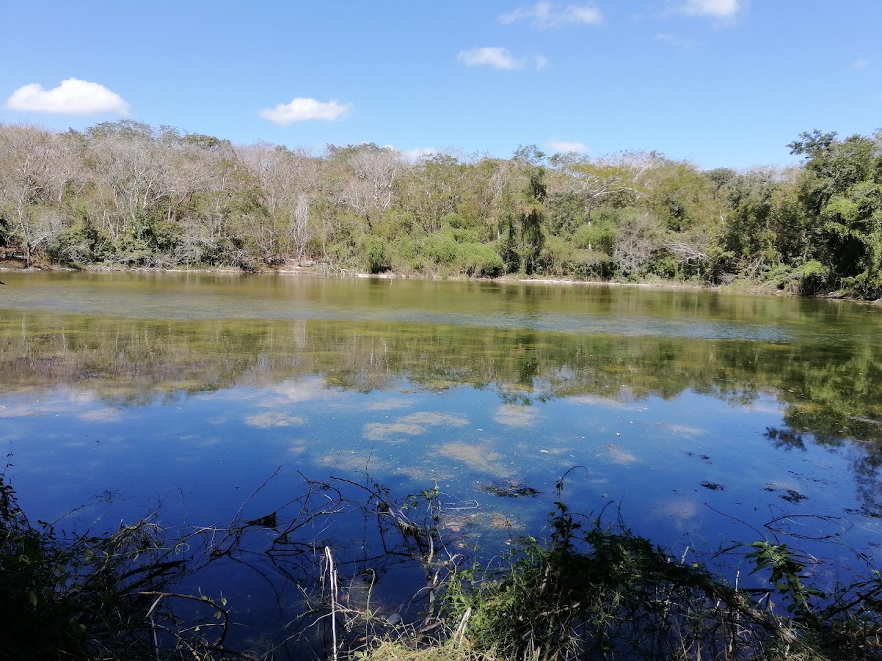 Cenote Aguada Verde