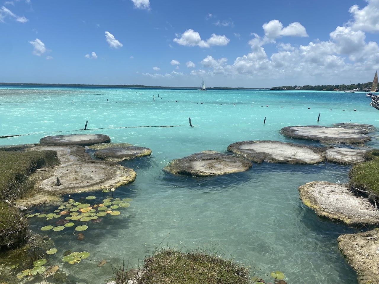 Cenote Cocalitos