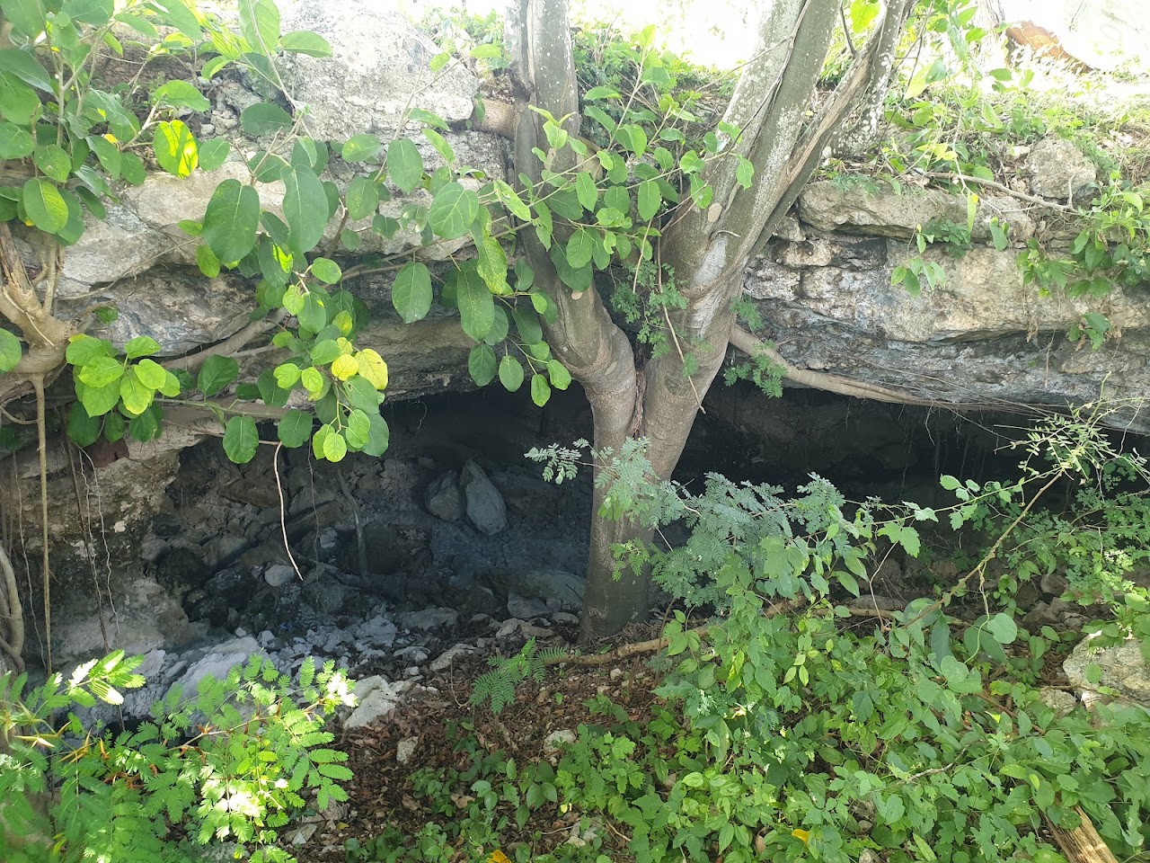 Cenote de San Antonio
