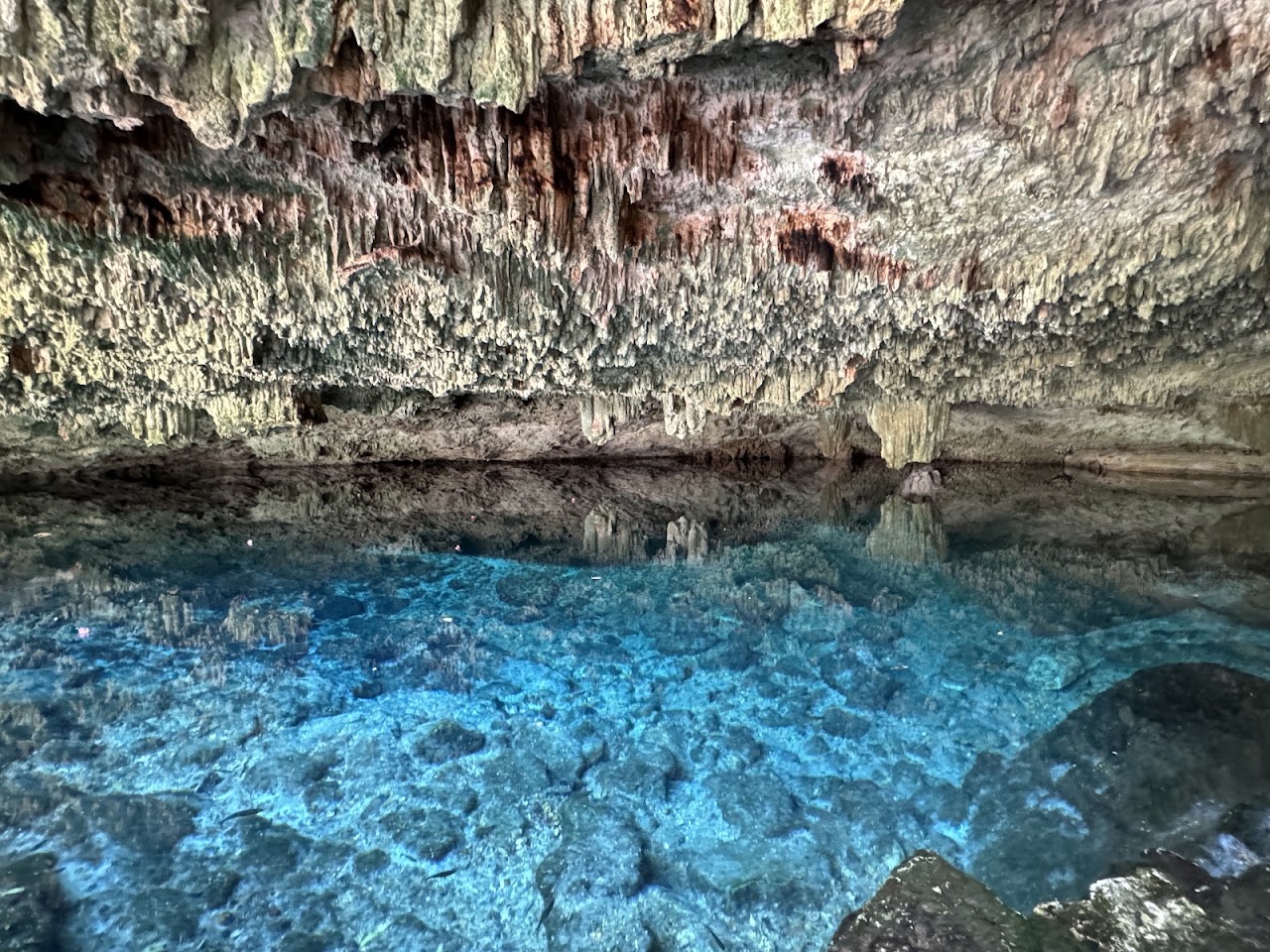 Cenote Dos Palmas