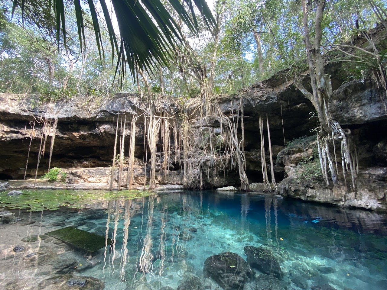 Cenote Dzombacal