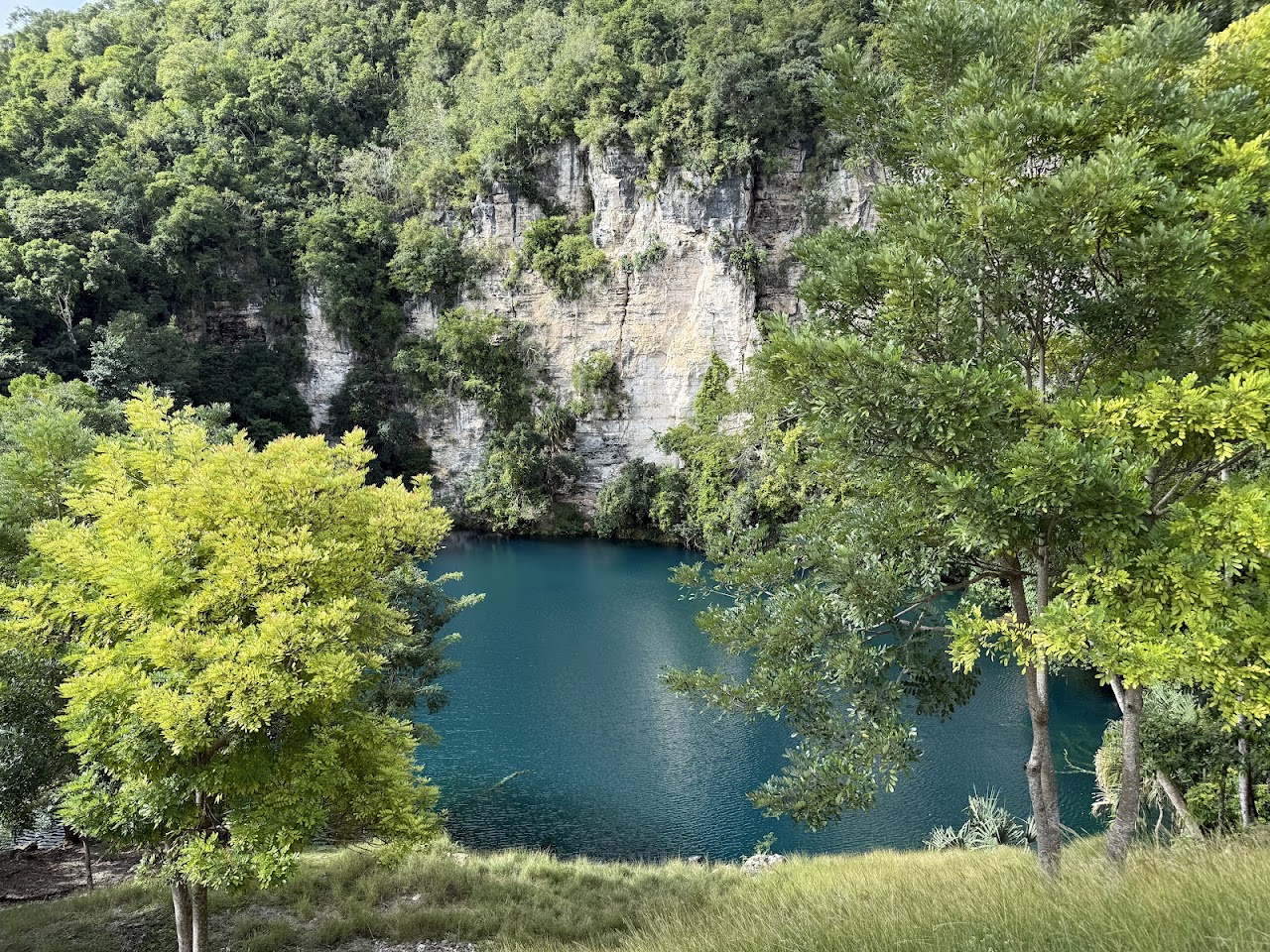 Cenote "El Cocodrilo Dorado"