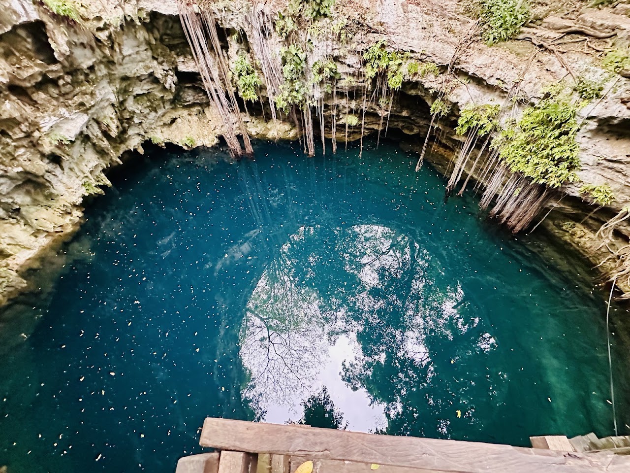 Cenote lol-ha