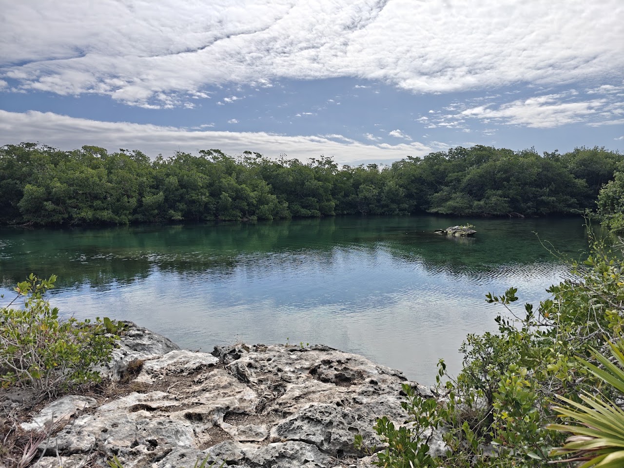 Cenote Media Luna