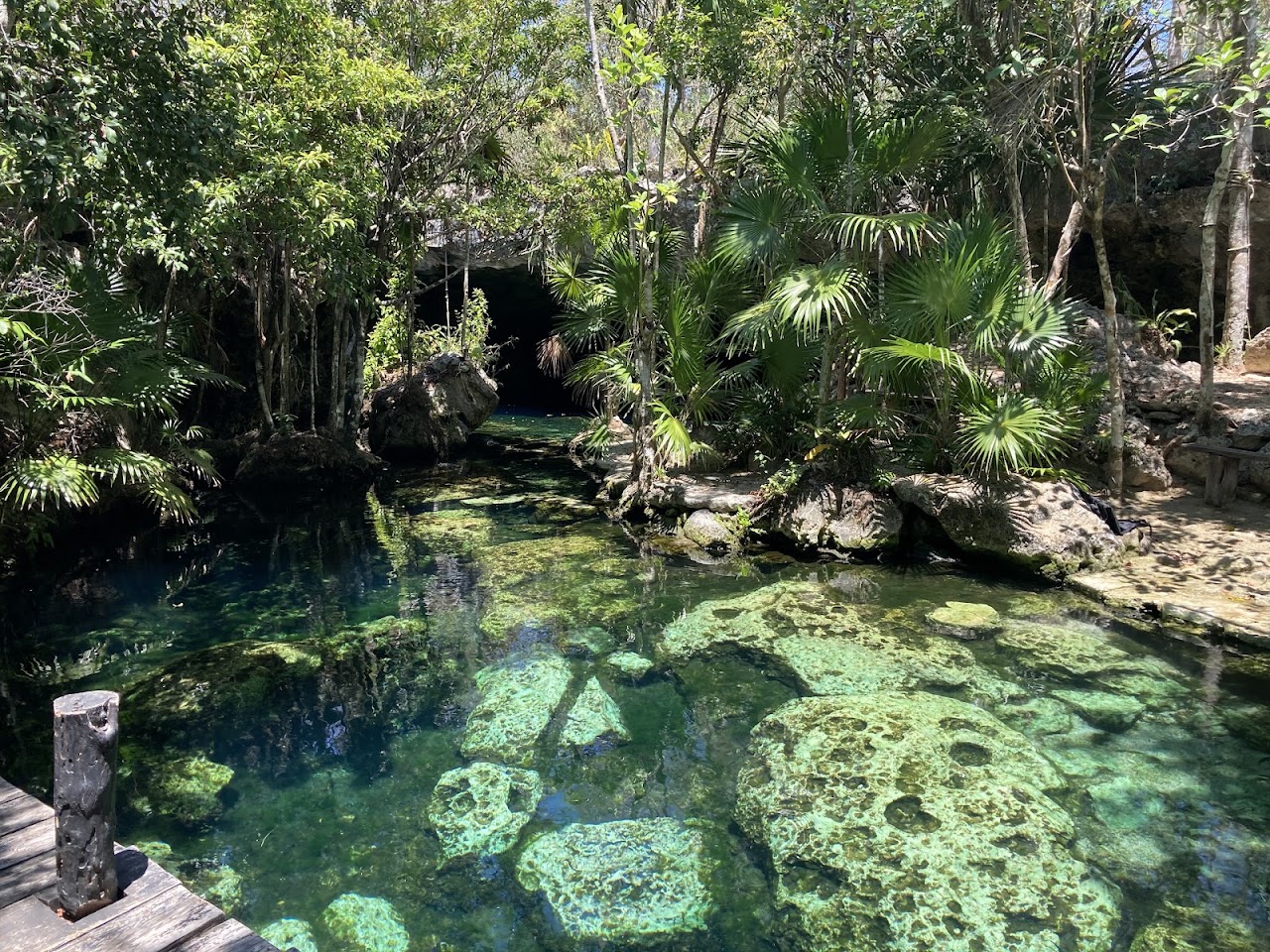 Cenote Minotaur