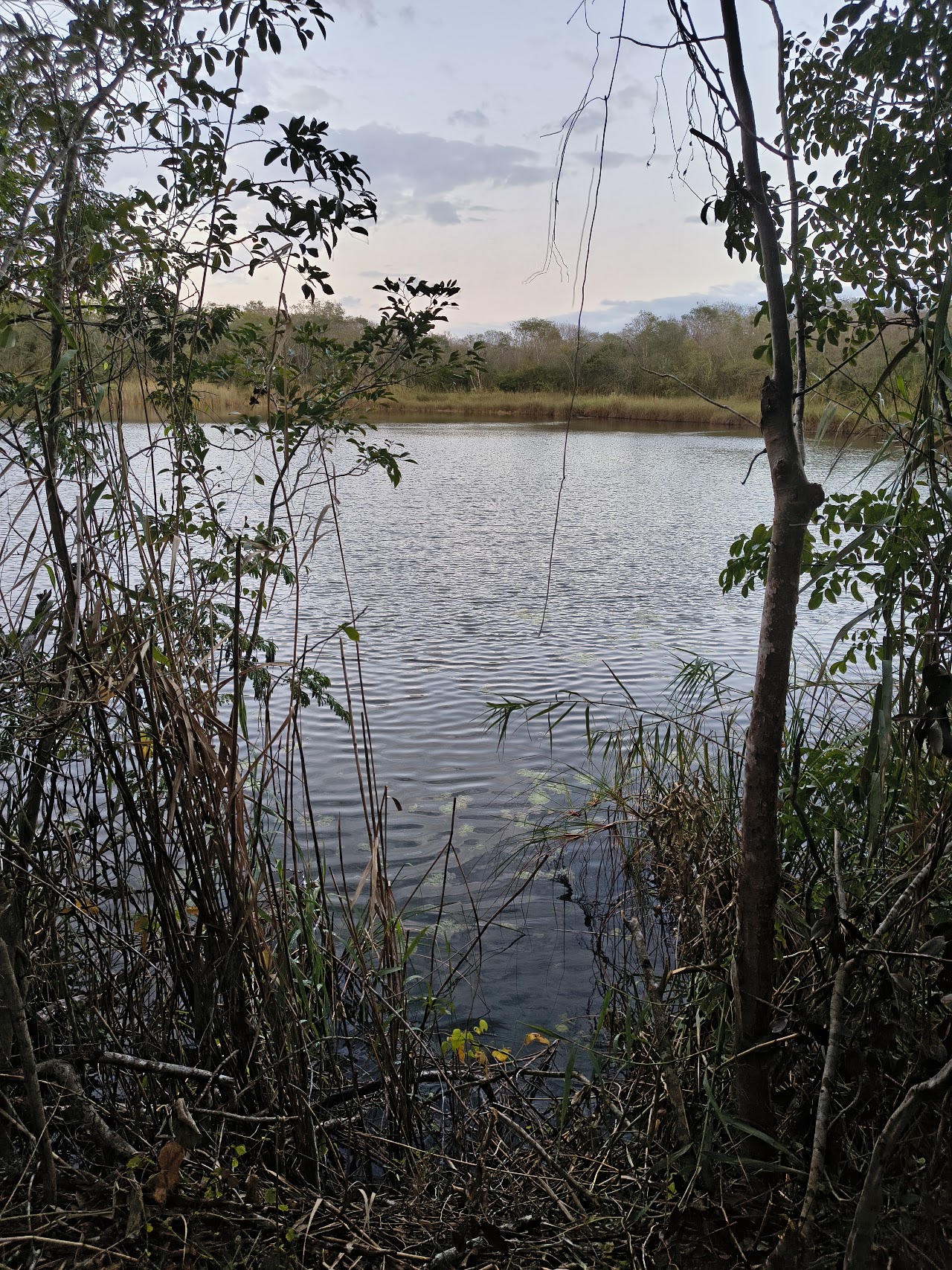 Cenote Nabula