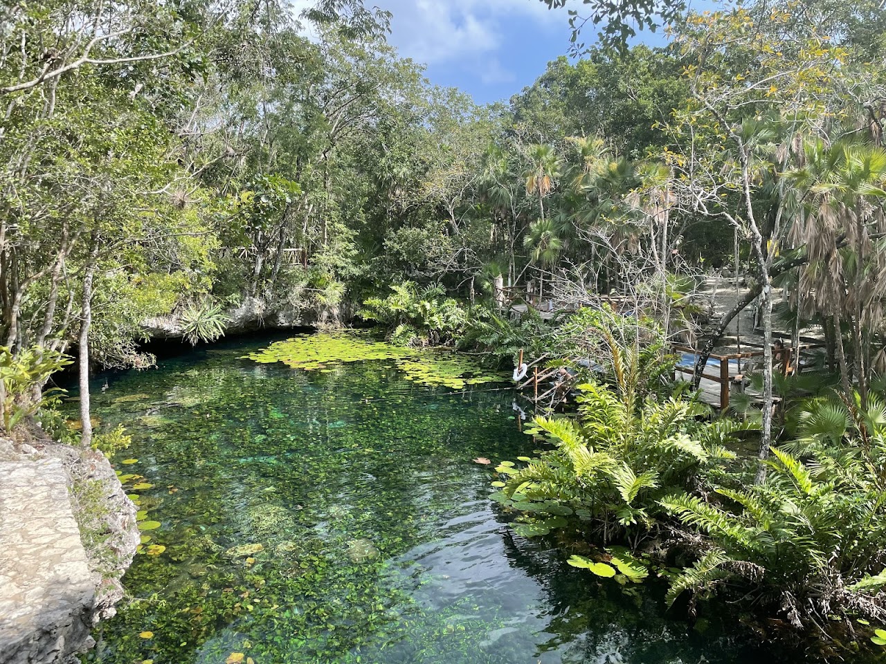 Cenote Nicte-ha