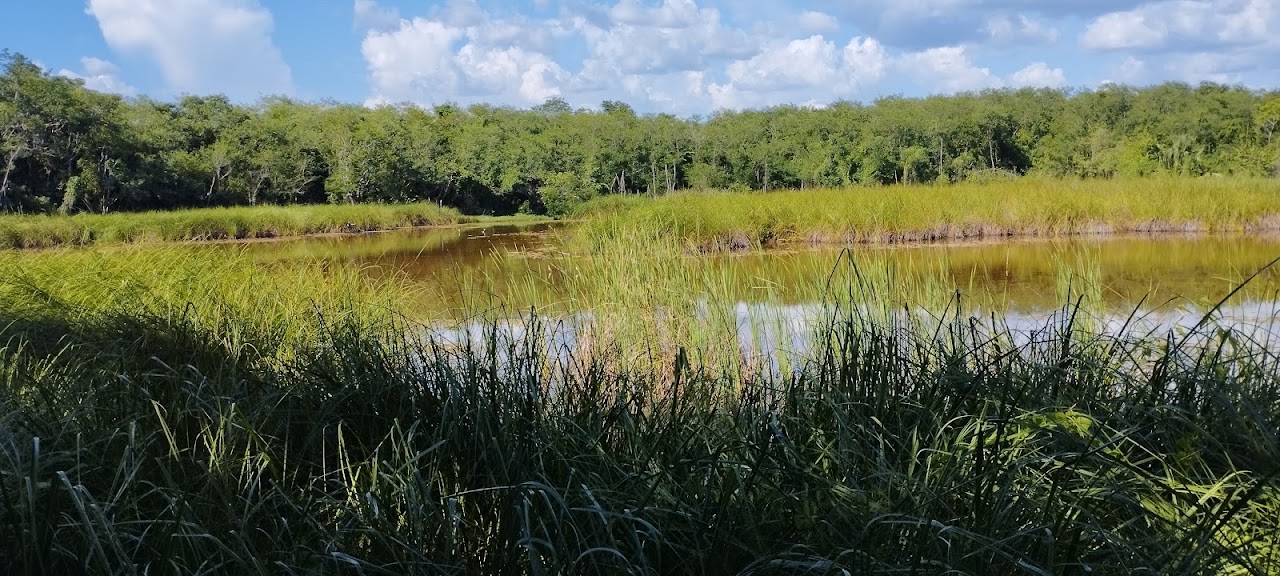 Cenote Osito