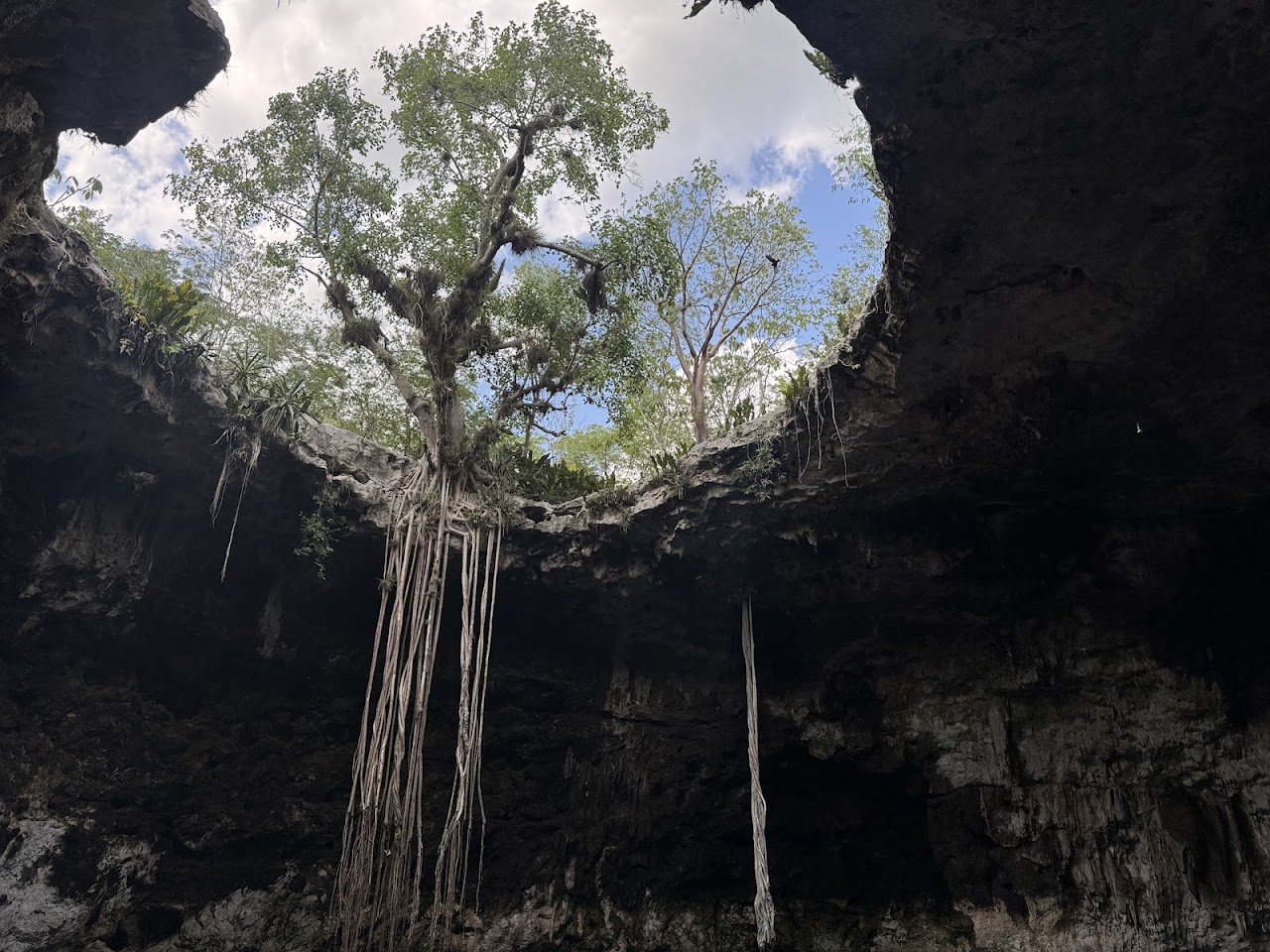 Cenote Pool Cocom