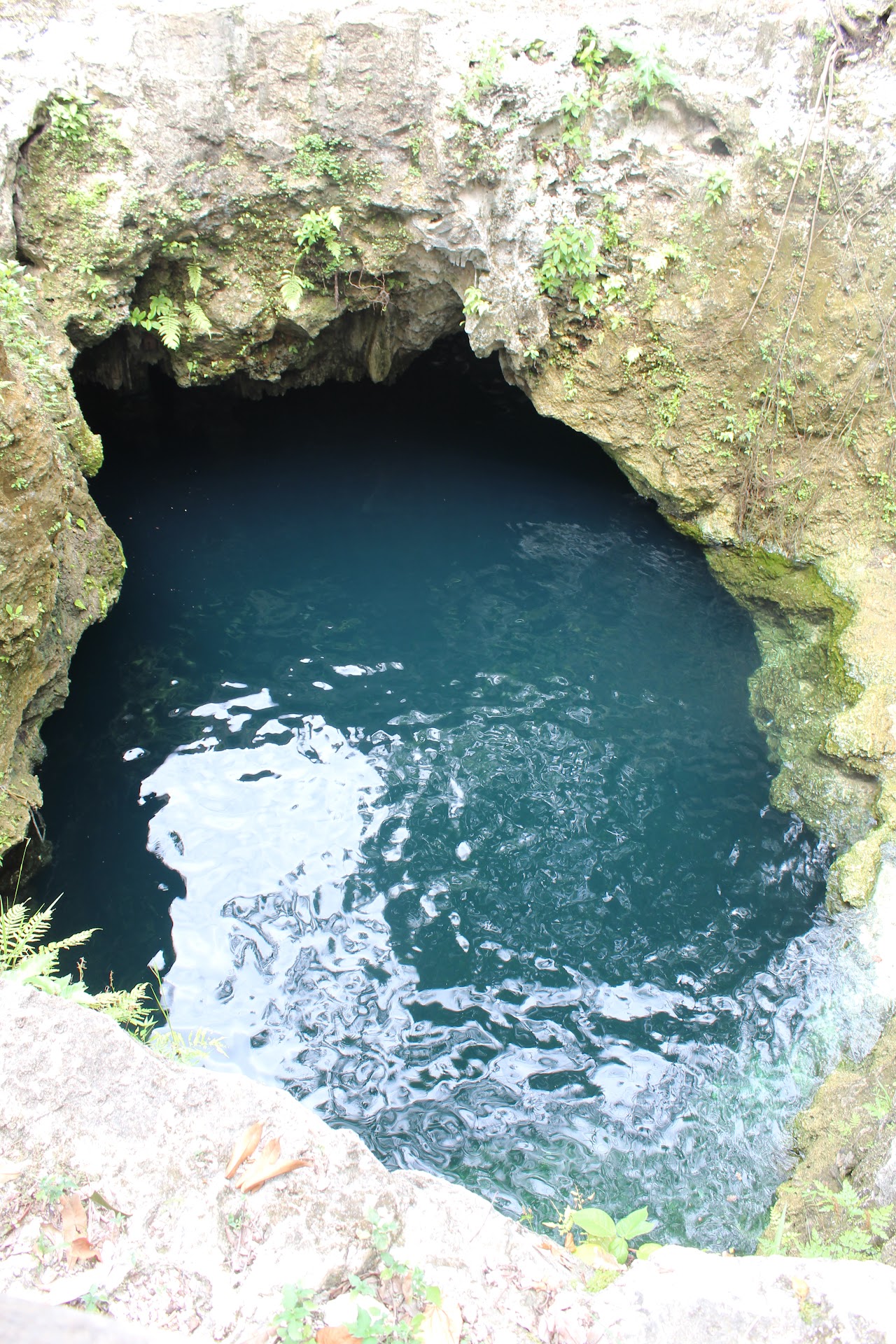 Cenote Siete Bocas